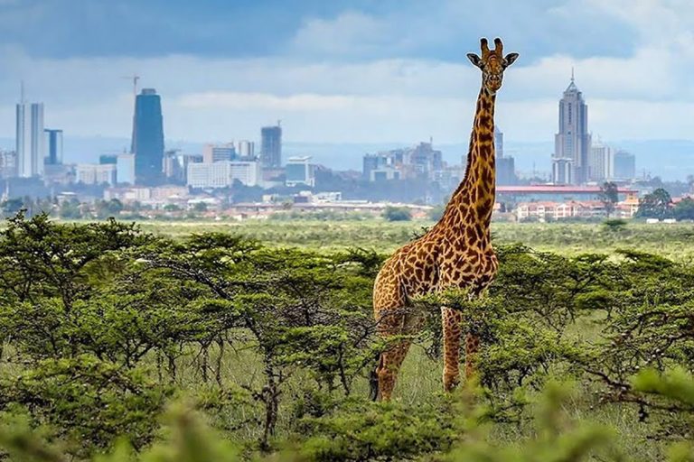 Nairobi National Park