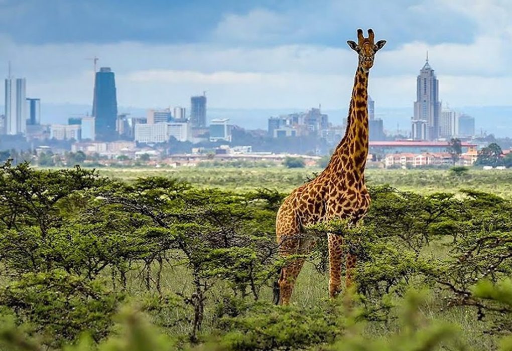 Nairobi National Park