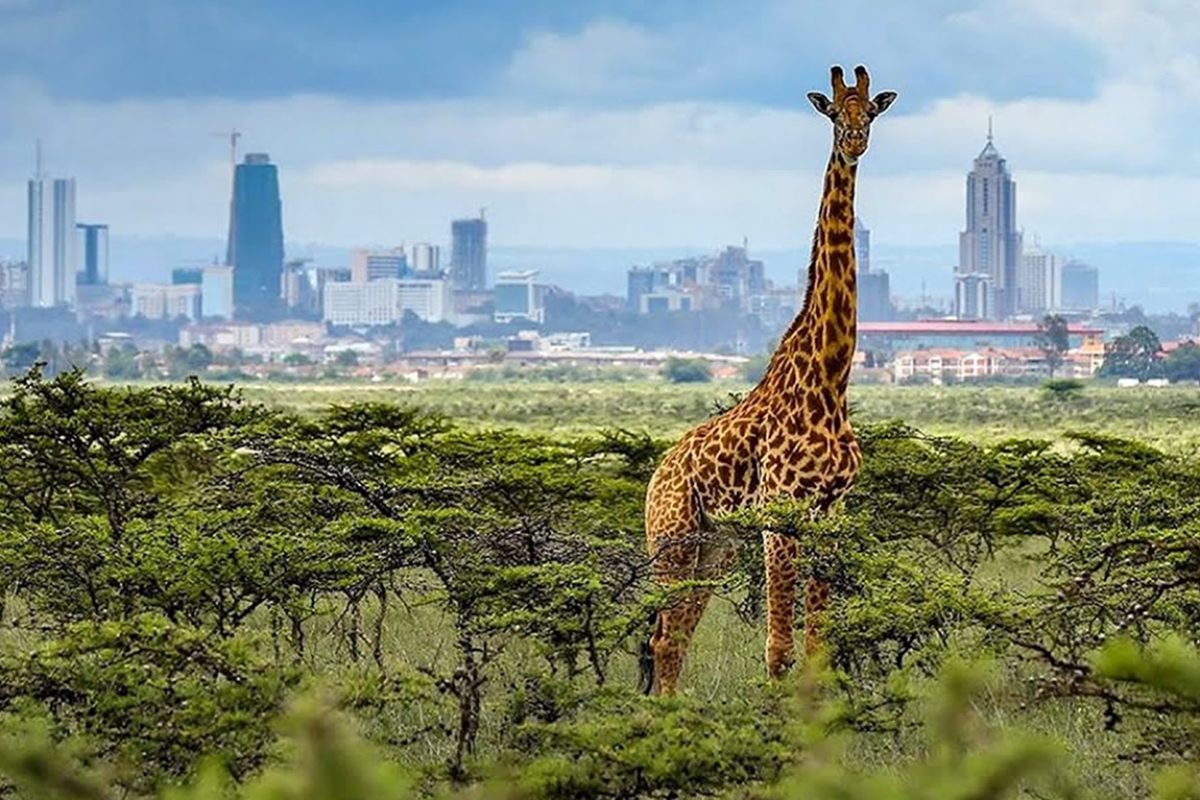 Nairobi National Park