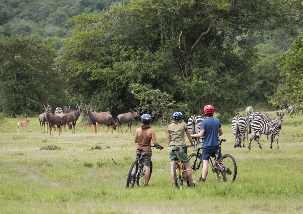 Bike Riding ©Mihingo Lodge