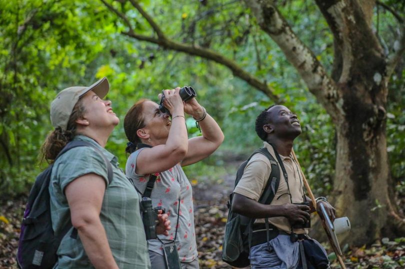 Birding ©Volcanoes Kibale Lodge