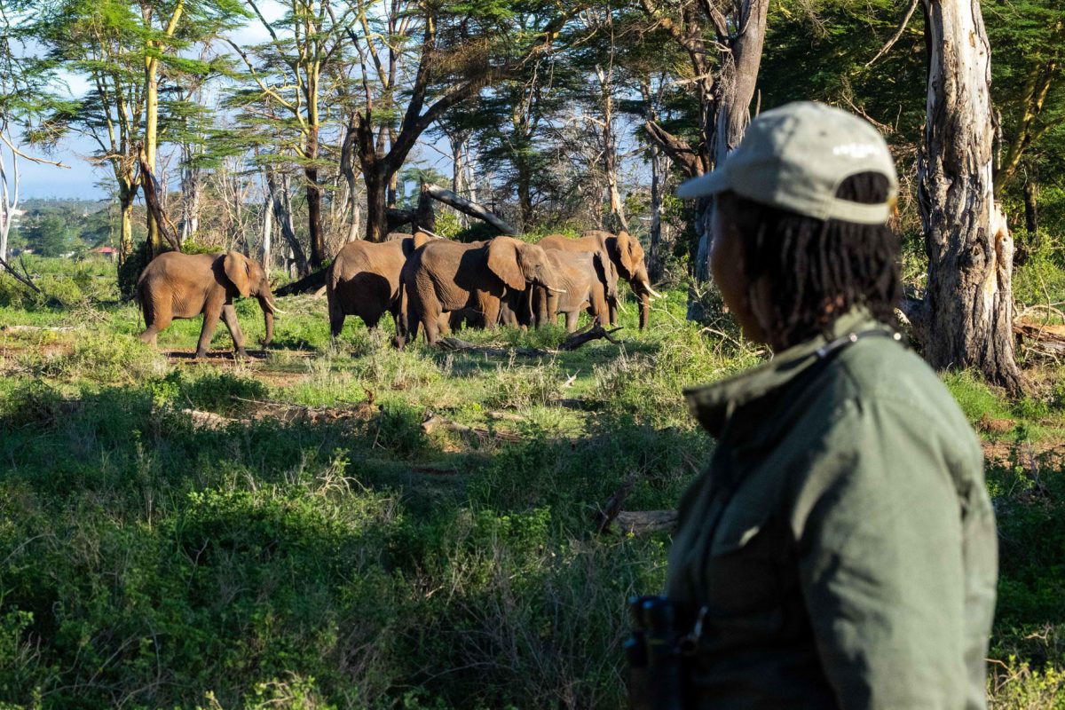Kimana Sanctuary ©Angama Amboseli