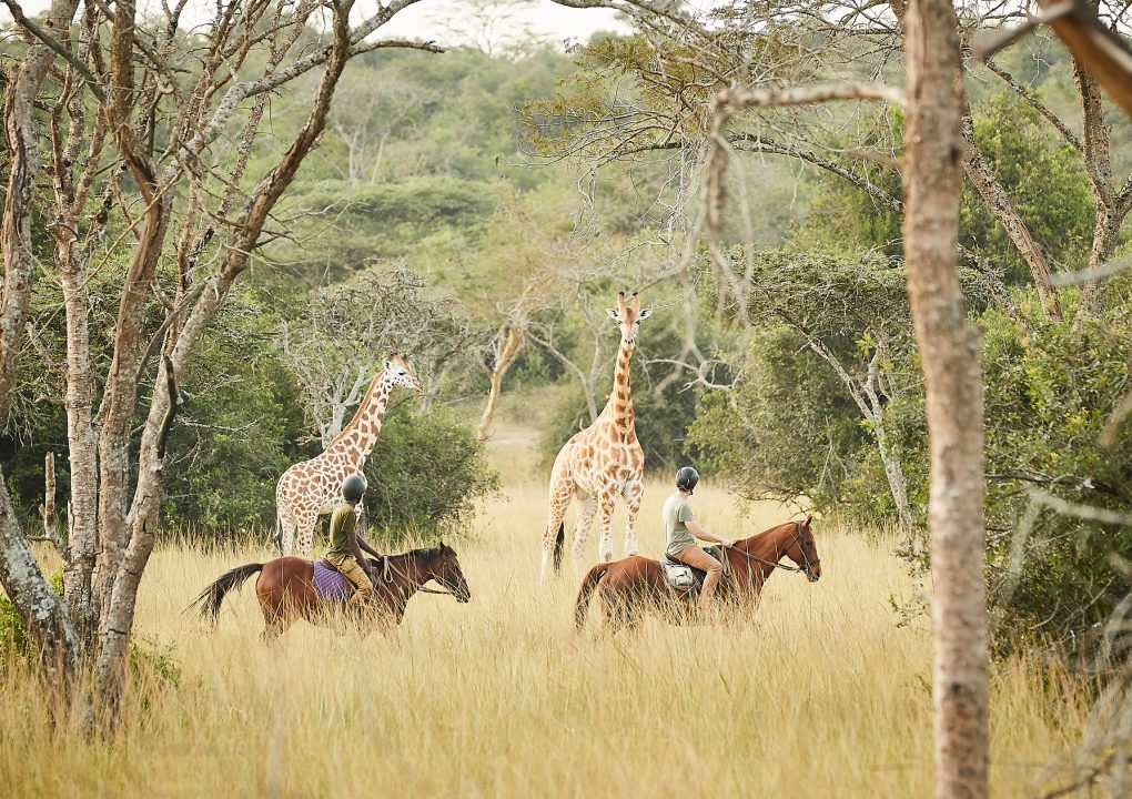 Horseback Safaris ©Mihingo Lodge