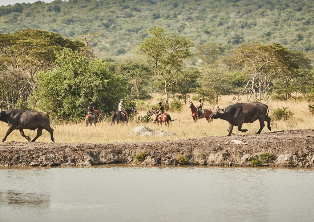 Horseback Safaris ©Mihingo Lodge