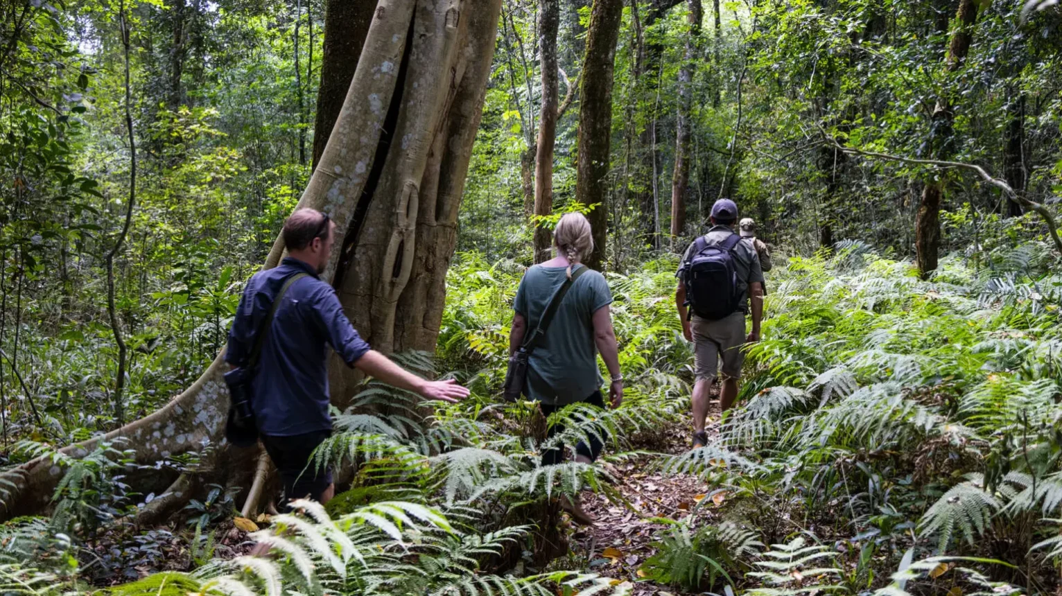 Asilia-Guests-Chimp-Trekking-on-Rubondo-Island