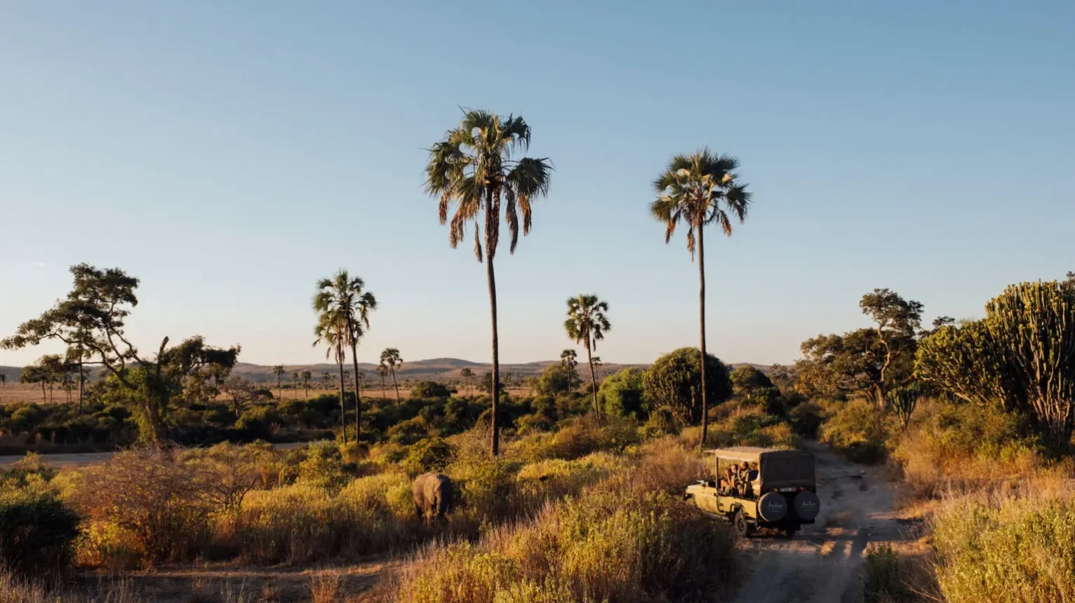 Asilia-Safari-Vehicle-in-Southern-Tanzania