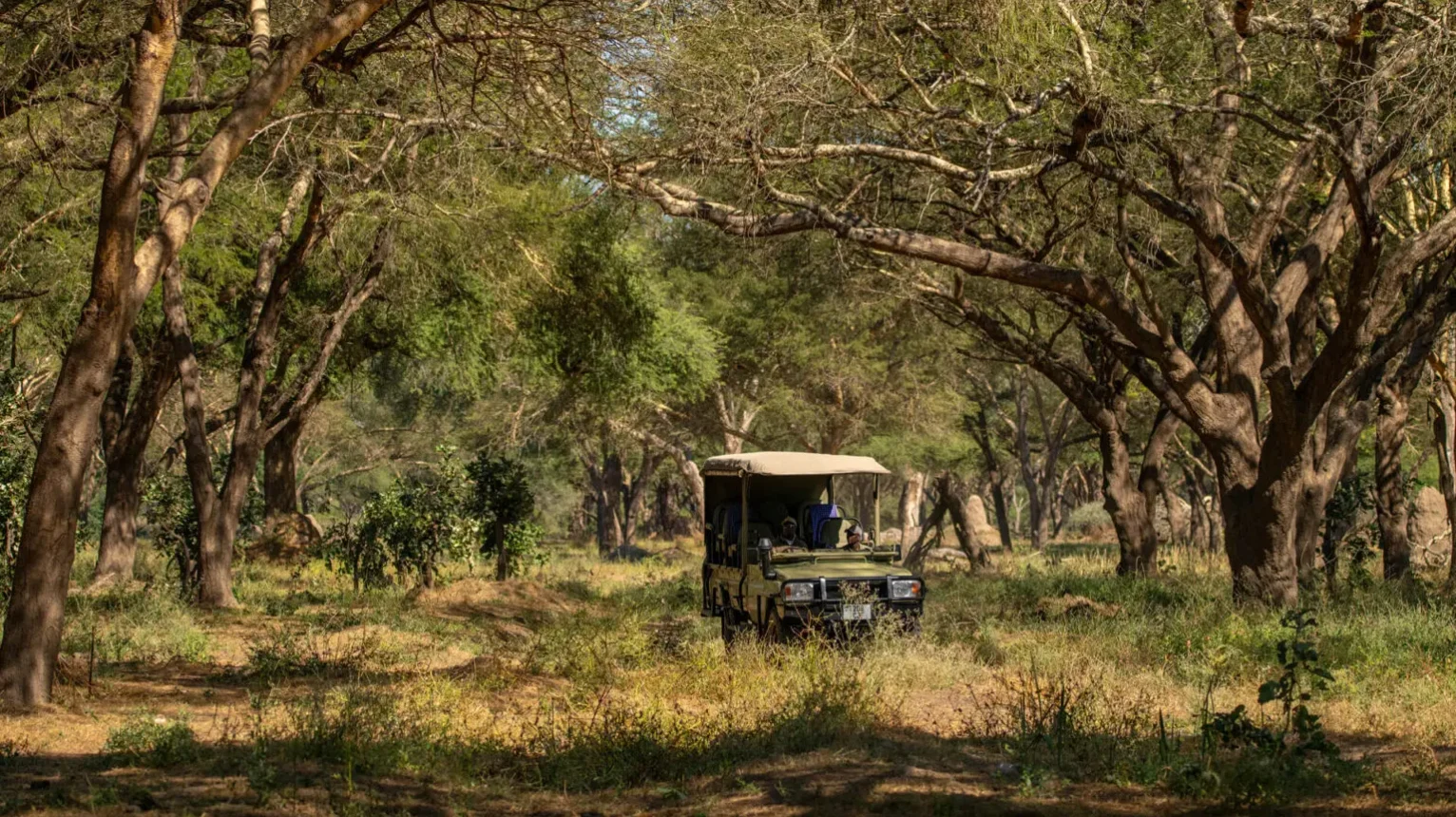Asilia-Safari-Vehicle-in-Southern-Tanzania