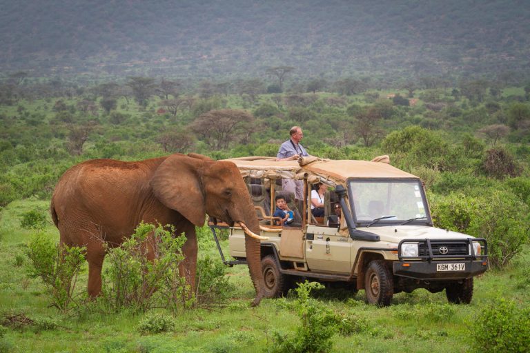 Elephant Bedroom Camp Samburu