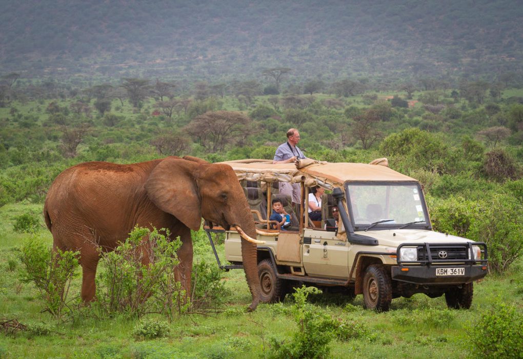Elephant Bedroom Camp Samburu