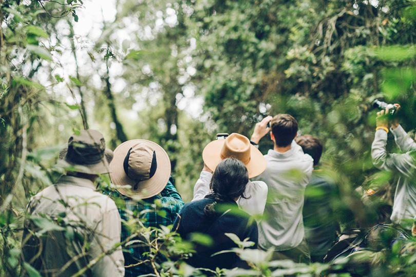 Erebero Hills Guests on a Reforestation Walk and Talk Bwindi Impenetrable Forest ©Asilia Africa