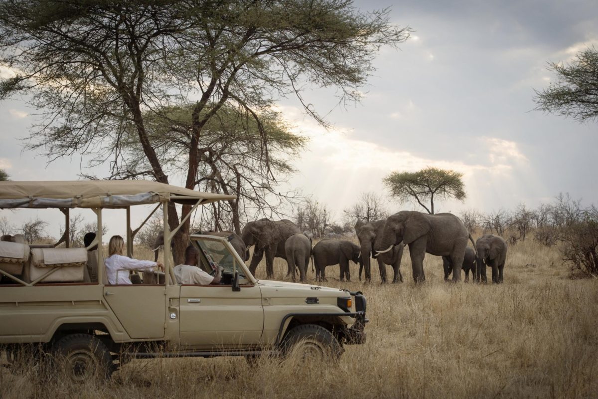 Game drive ©Kigelia Ruaha | Nomad Tanzania