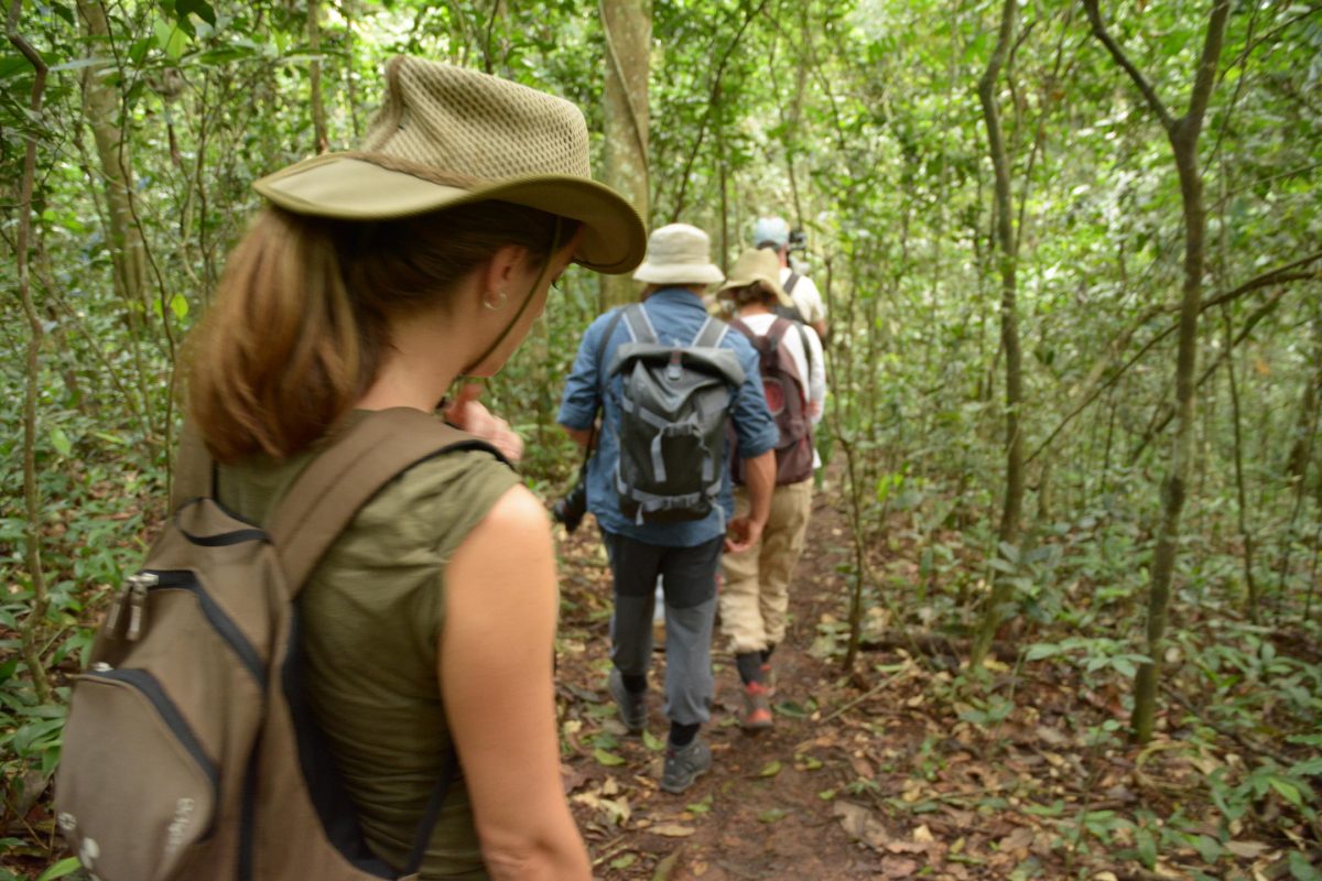 Heading into the forest ©Wildplaces Africa
