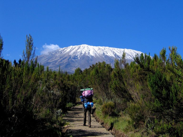 Kilimanjaro_Climb_Rongai_Route_01