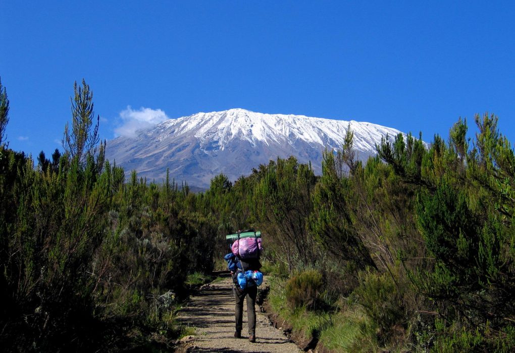 Kilimanjaro_Climb_Rongai_Route_01