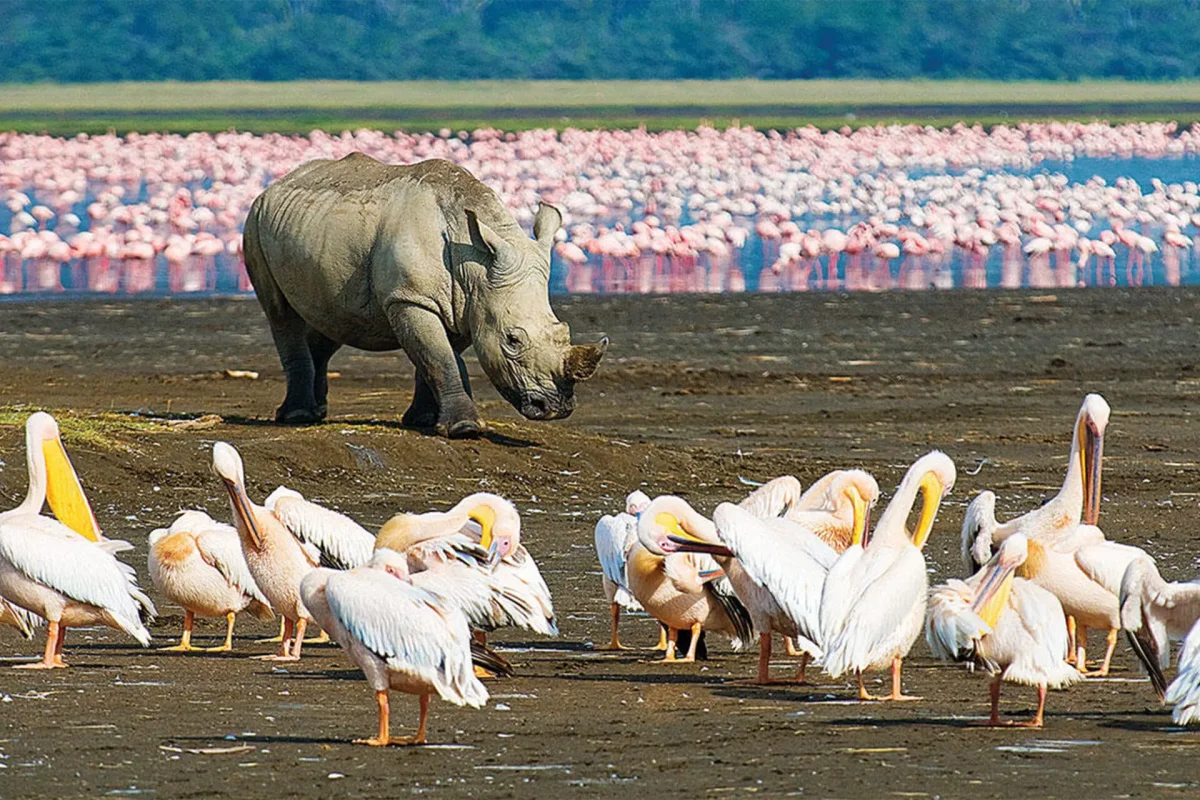 Lake-Nakuru-National-Park