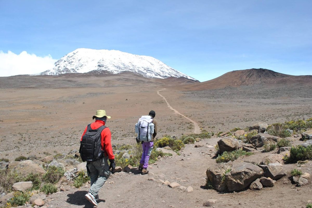 Mount_Kilimanjaro_Marangu-Route_the_Saddle_01