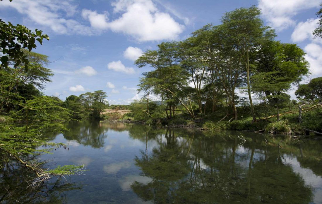 Mzima-Springs