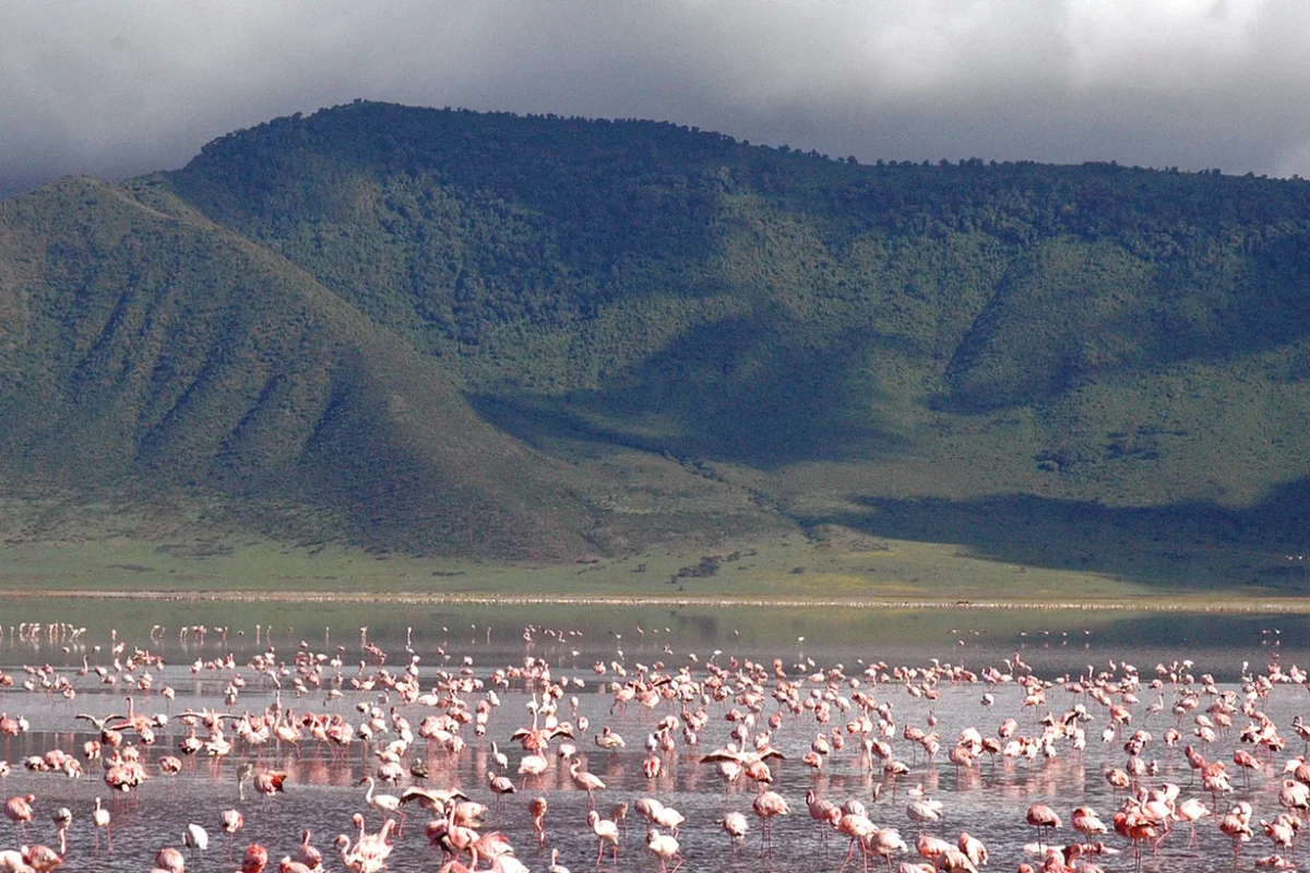 Ngorongoro_Flamingo_Lake