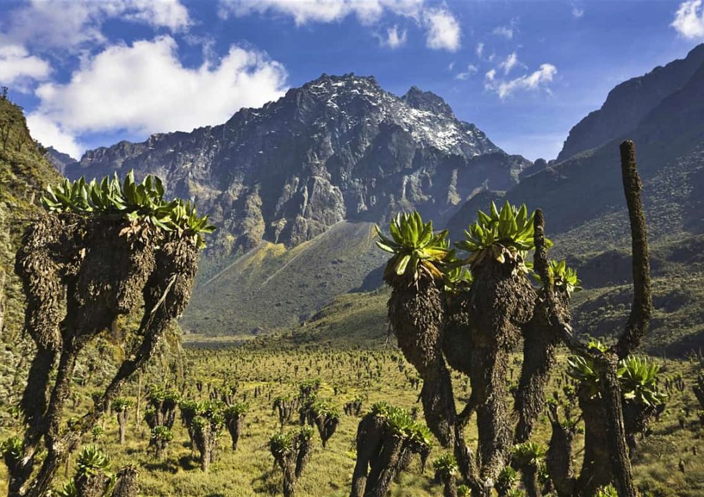 Rwenzori-Mountains-National-Park
