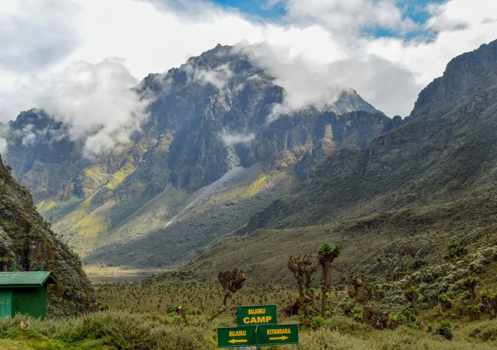 Rwenzori-mountains-012308