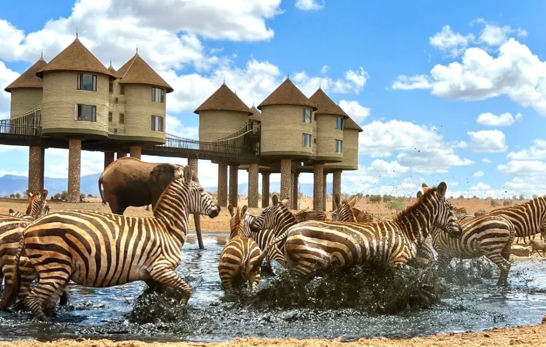 Salt-Lick-Safari-Lodge-1200-×-750-px