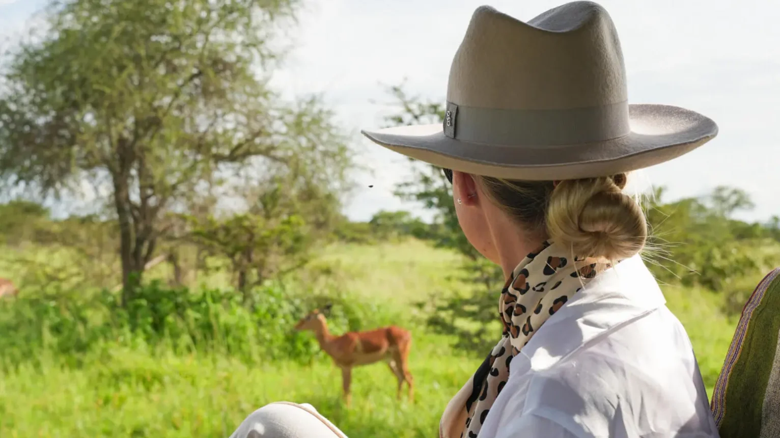 asilia-guest-watching-wildlife-east-africa
