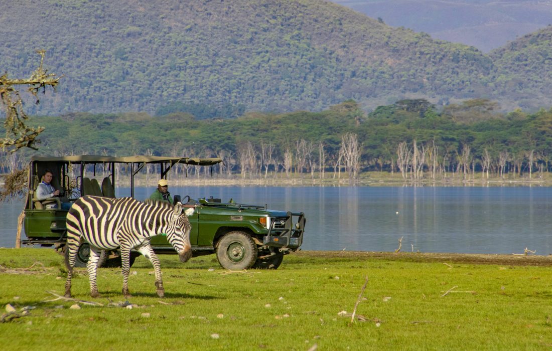 chui-lodge-game-drive