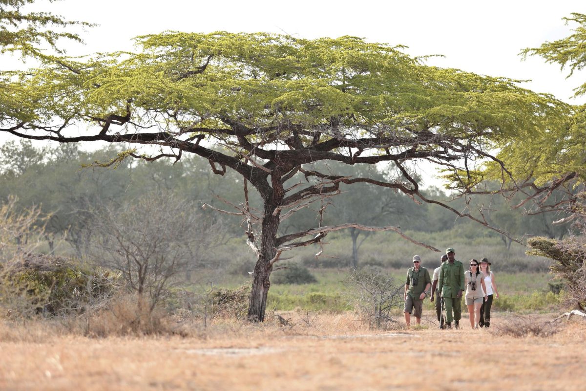 guided_walks_roho ©Asilia Africa