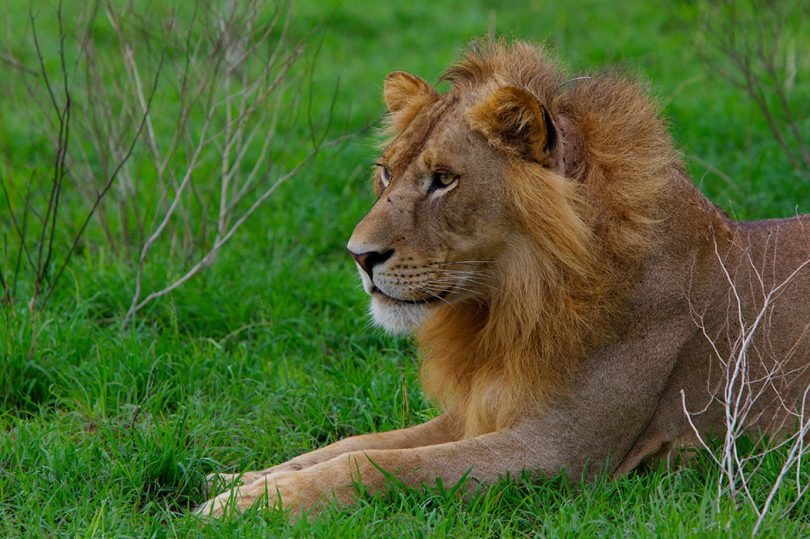 paraa-wildlife-and-scenery60