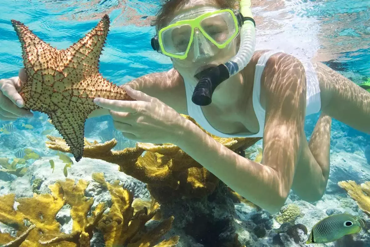 Snorkeling At Kisite