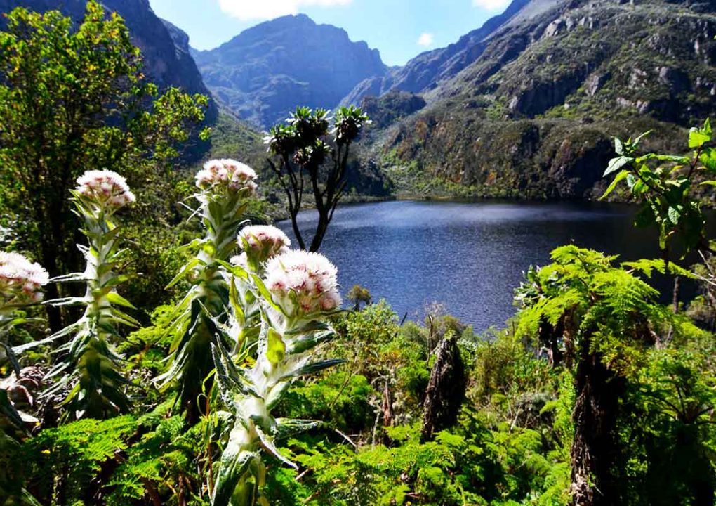 rwenzori-mountains-national-park (1)